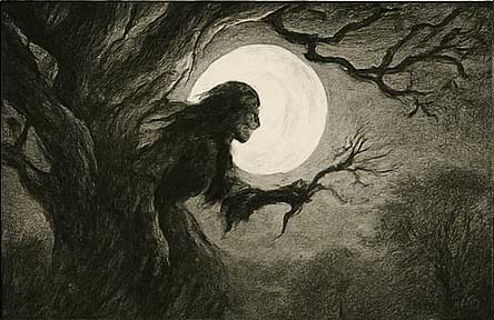 Illustration of Mrs. Mothersole gathering twigs under moonlight beside the ash tree