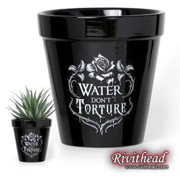 Water dont torture plant pot