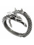 Vis Viva Bracelet in antiqued silver-tone metal shaped as a detailed dragon biting its tail