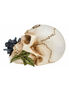 Black Rose Alchemist Skull