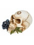 Black Rose Alchemist Skull