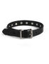 Black leather choker with silver cone spikes and a buckle closure on a white background