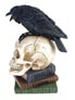 Poes Raven Skull