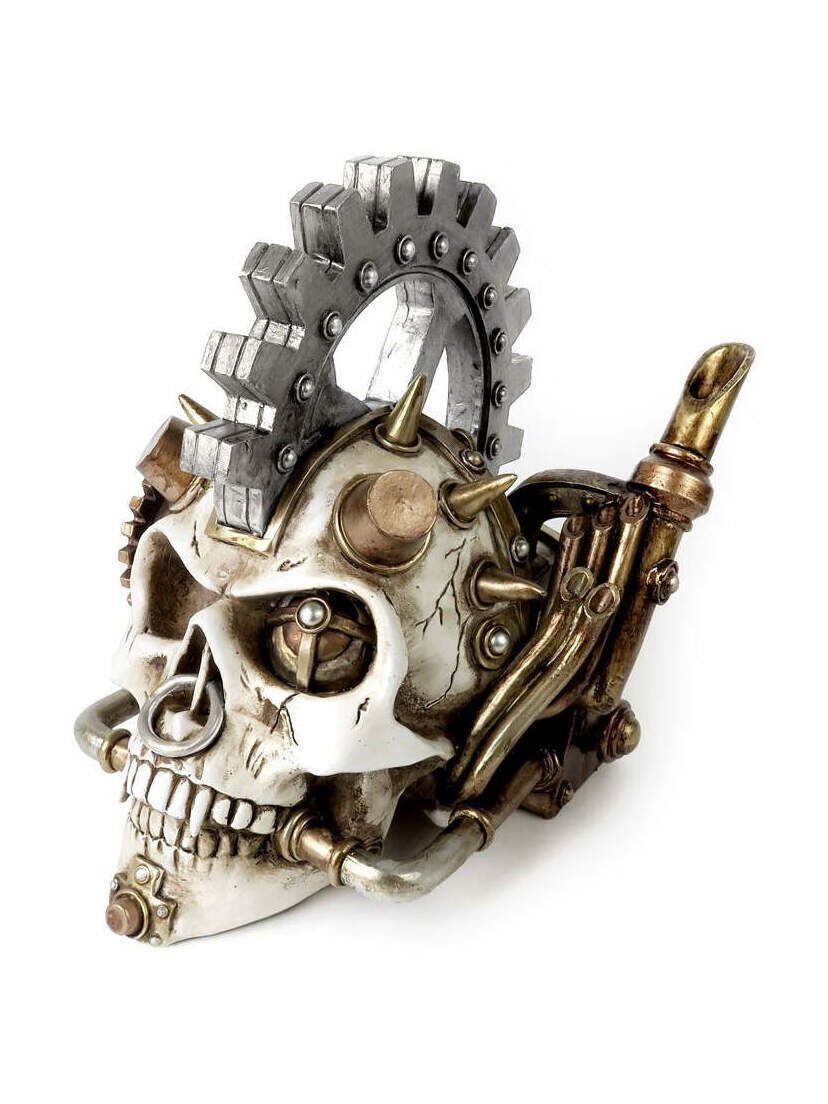 Steamhead Skull