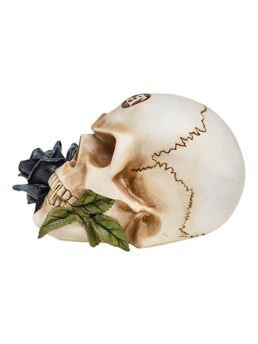Black Rose Alchemist Skull Black Rose Alchemist Skull