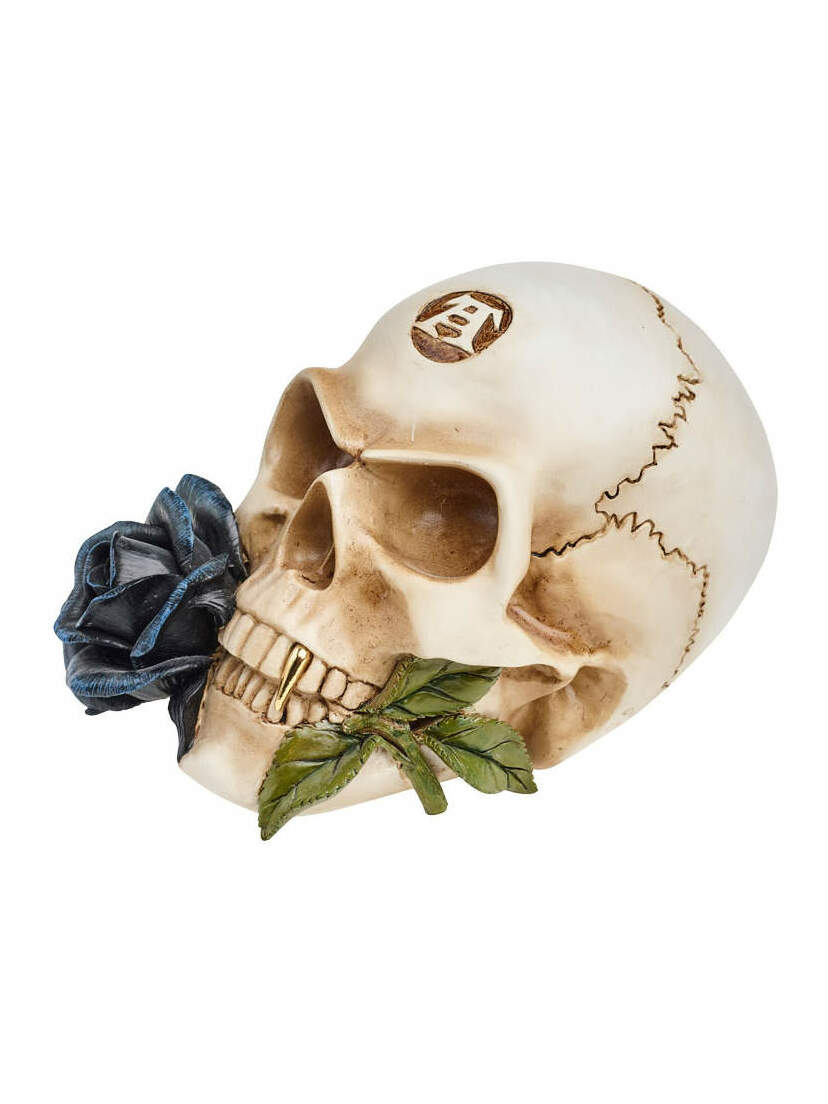 Black Rose Alchemist Skull Black Rose Alchemist Skull