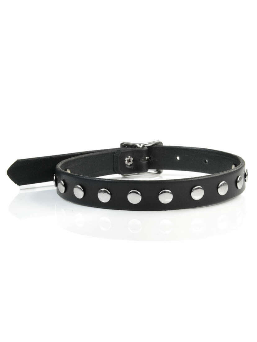 Leather Choker with One Row of Rivets and a Buckle