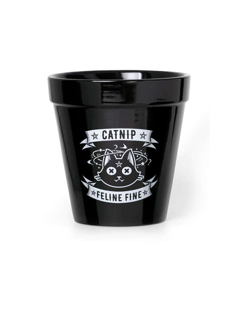 Catnip Feline Fine Ceramic Plant Pot