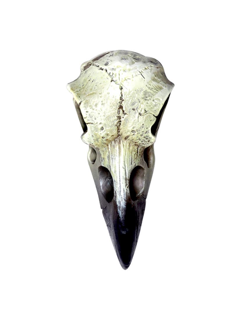 Reliquary Raven Skull