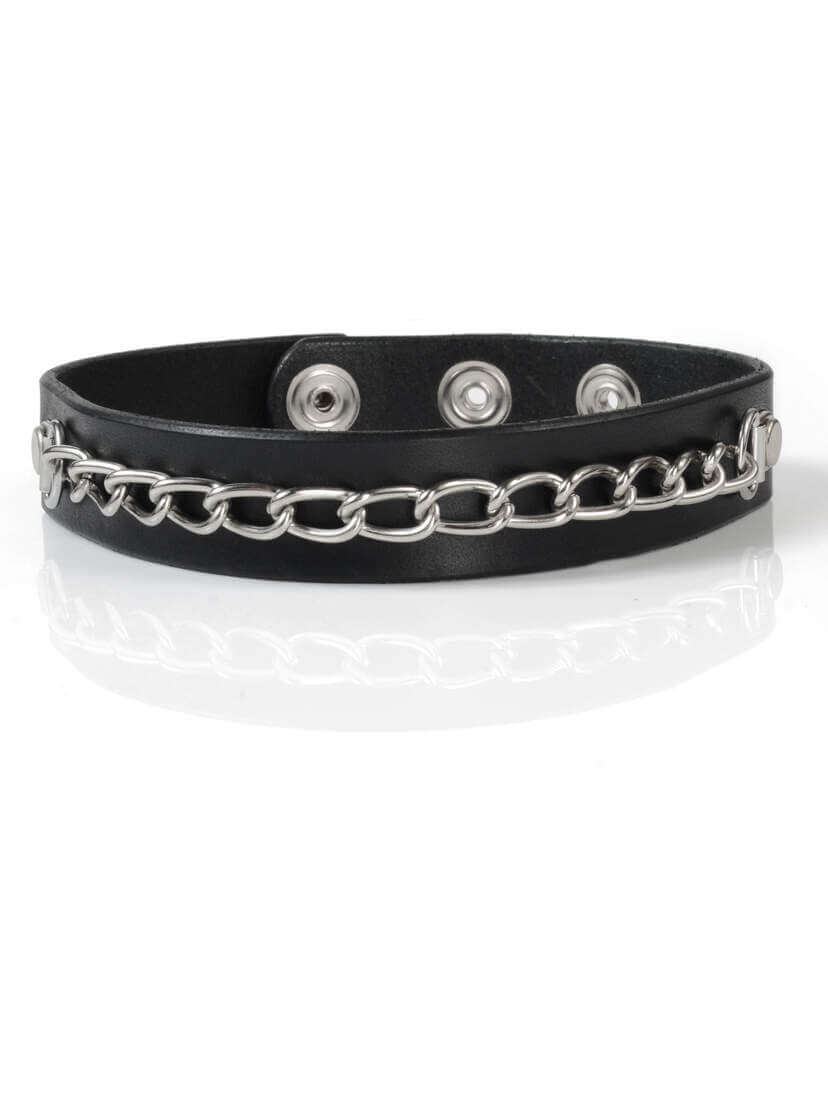 Choker collar with silver overlay chain and snap back