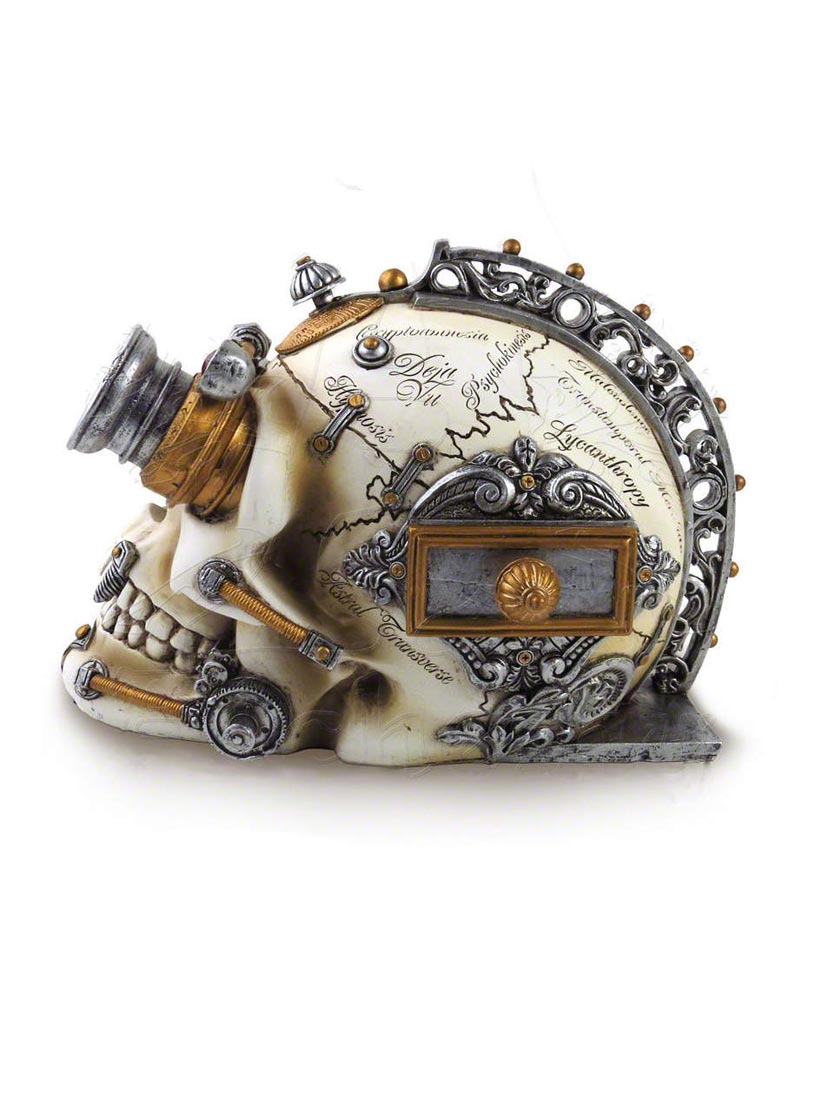 Erasmus Darwin's Steam-Cerebrum Skull