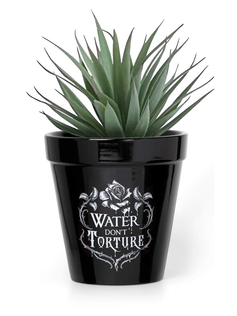Water Don't Torture Rose & Vine Ceramic Plant Pot