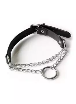 Close-up of a leather choker with a silver ring and slip chain, featuring a buckle closure