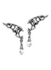 Wings of Eternity Earrings