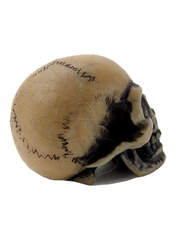 Product reviews for the Lapillus Worry Skull