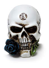 Product reviews for the Alchemist Skull Miniature