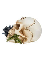 Product reviews for the Black Rose Skull