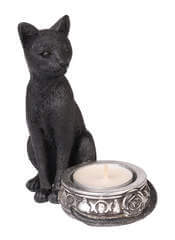 Black Cat T - Light