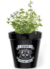 Product reviews for the Catnip Plant Pot