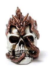 Product reviews for the Dragon Keepers Skull Miniature