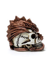 Product reviews for the Dragon Keepers Skull Miniature