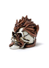 Product reviews for the Dragon Keepers Skull Miniature