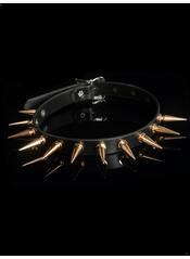 Product reviews for the Gold Spiked Choker