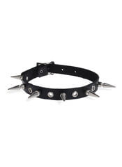 Product reviews for the EC1LS Leather Choker