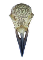 Omega Raven Skull - Replica Ravens Skull
