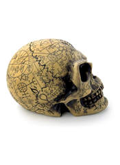 Product reviews for the Omega Skull