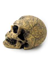 Product reviews for the Omega Skull