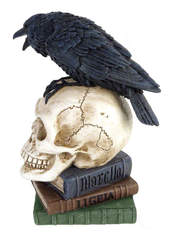 Product reviews for the Poes Raven Skull