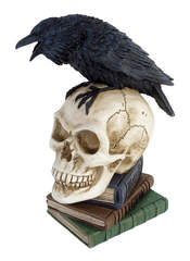 Edgar Allen Poes Raven Skull Resin Figurine | Rivithead