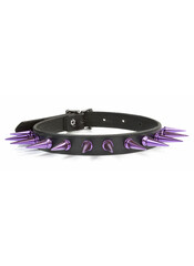 Product reviews for the Purple Spiked Choker