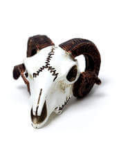 Rams Skull Miniature Figurine