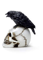 Product reviews for the Raven Skull Miniature