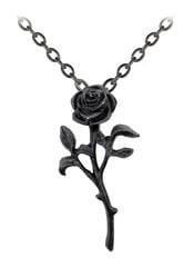 Romance Of The Black Rose