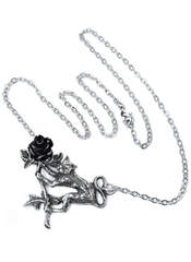 Product reviews for the Rosenkatze