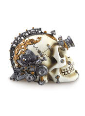 Product reviews for the Steam Cerebrum Skull