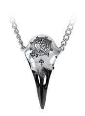 Volvan - Raven Skull Pendant Necklace