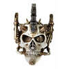 Steamhead Skull