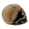 Lapillus Worry Skull