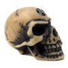 Lapillus Worry Skull