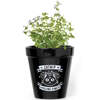 Catnip Feline Fine Ceramic Plant Pot