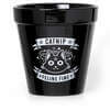 Catnip Feline Fine Ceramic Plant Pot