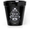 Dead Plant Ceramic Planting Pot