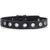 Leather choker with one row of grommets