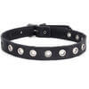 Leather choker with 1 row of Grommets