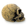 Omega Skull
