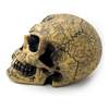 Omega Skull